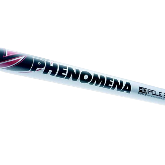 Mivardi Phenomena P2 9 m – Teleskoprute der Oberklasse
